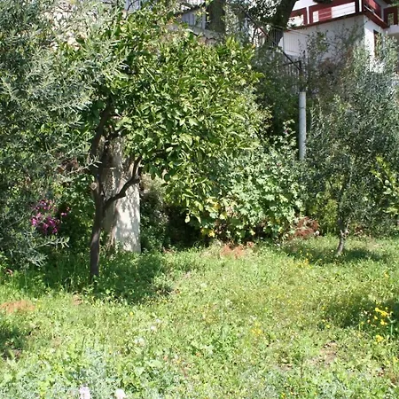 Apartment By The Sea Zaostrog, Makarska - 10431 Zaostrog